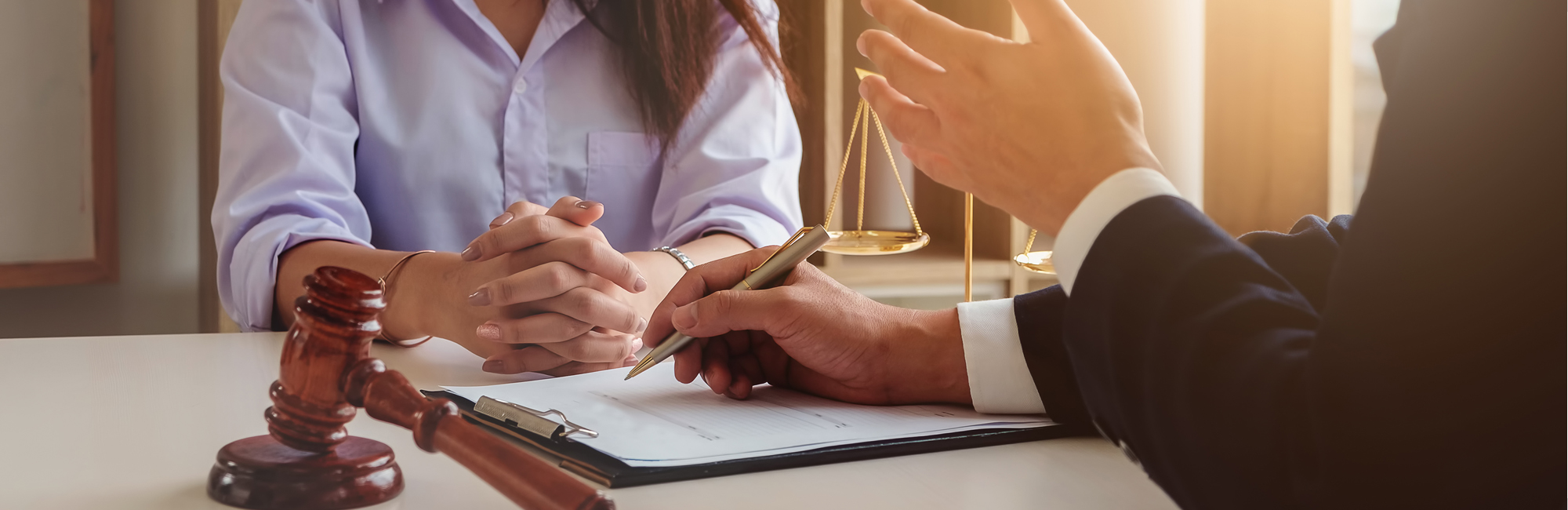 Legal Adviser Speaking with Client